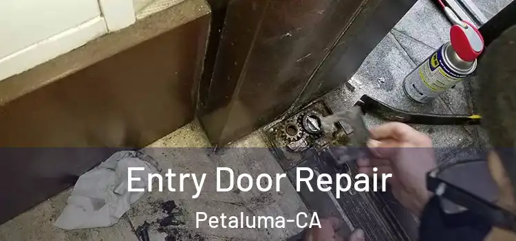 Entry Door Repair Petaluma-CA