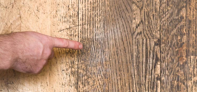 Wood Door Scratch Repair in Petaluma