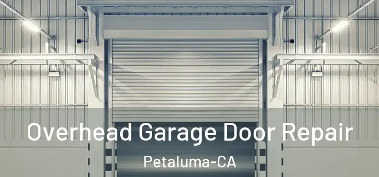 Overhead Garage Door Repair Petaluma-CA